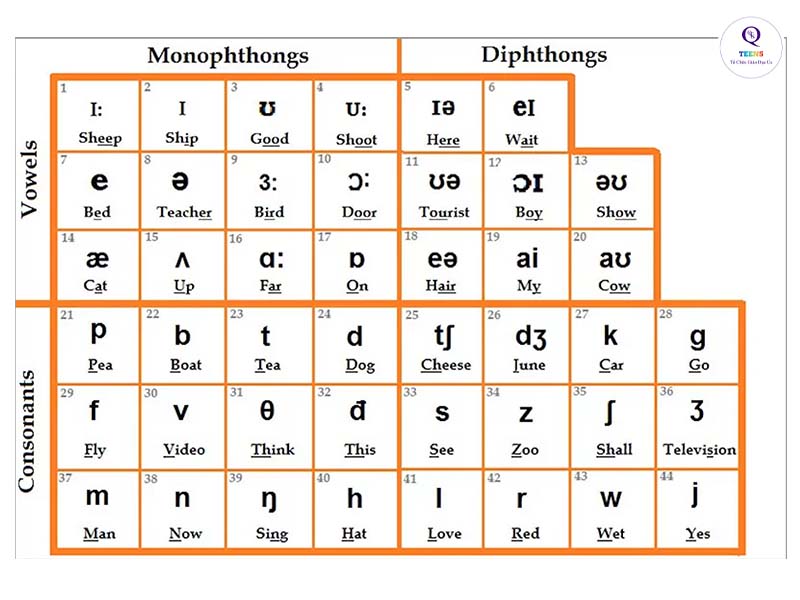Bảng 44 âm IPA