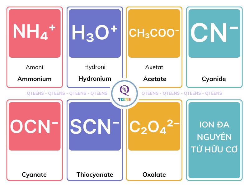 Tên gọi một số ion đa nguyên tử hữu cơ bằng tiếng Anh