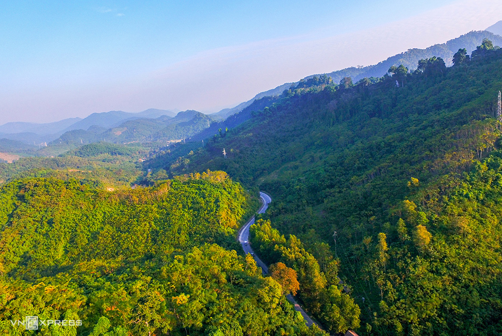 Rừng săng lẻ rộng 70 ha nằm trên địa phận xã Tam Đình, huyện Tương Dương, tỉnh Nghệ An.